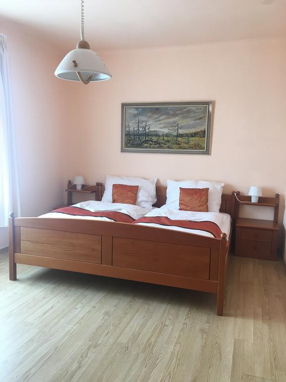 Pension Vidhous 1 Frantiskovy Lazne Exterior photo
